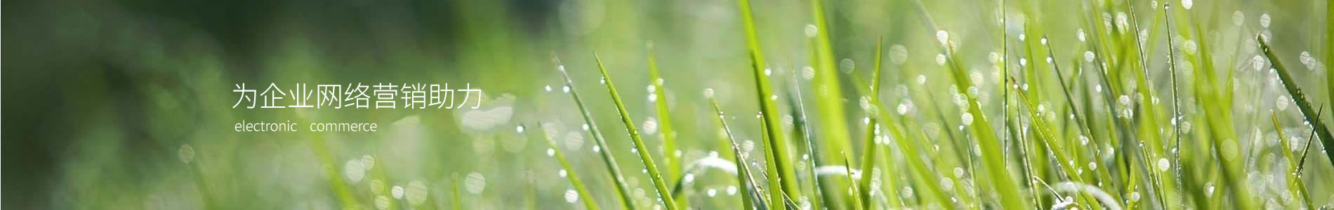 ïеӿƼ޹˾